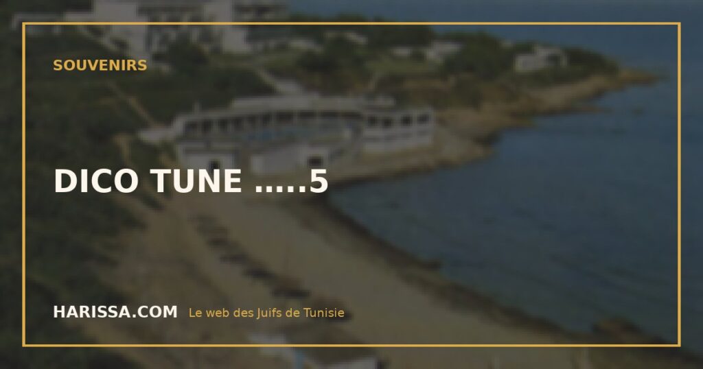 DICO TUNE …..5