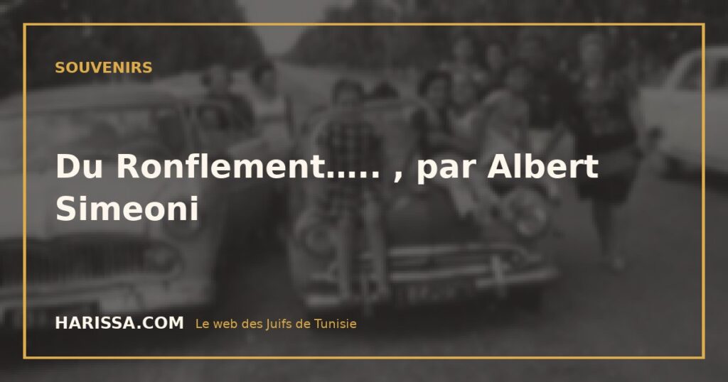 Du Ronflement….. , par Albert Simeoni
