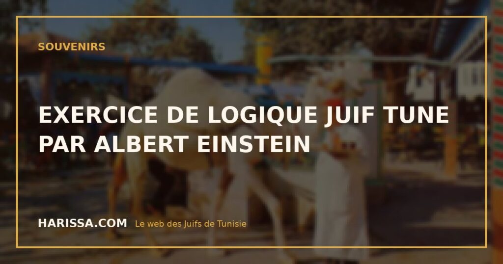 EXERCICE DE LOGIQUE JUIF TUNE PAR ALBERT EINSTEIN