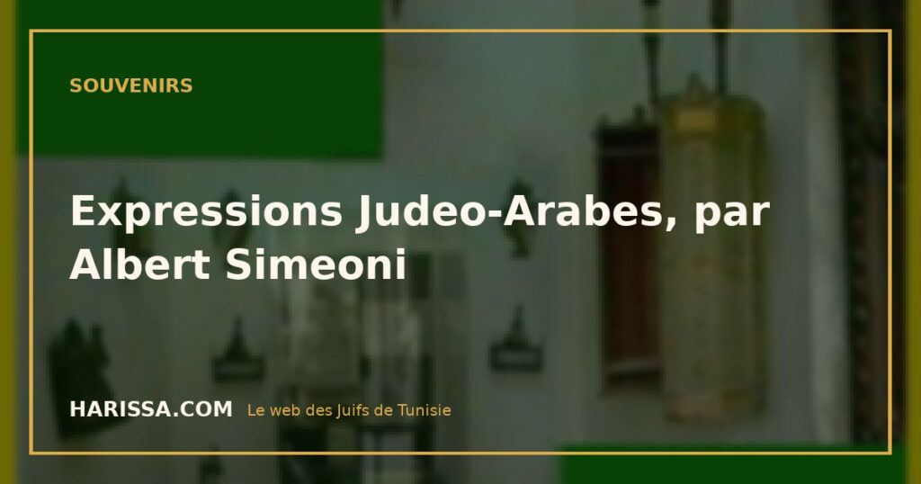 Expressions Judeo-Arabes, par Albert Simeoni