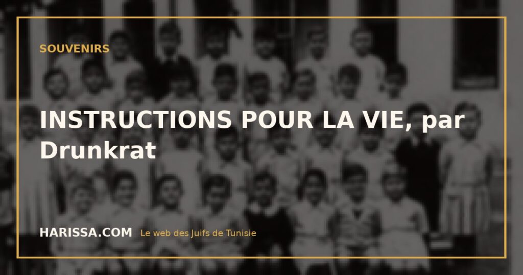 INSTRUCTIONS POUR LA VIE, par Drunkrat