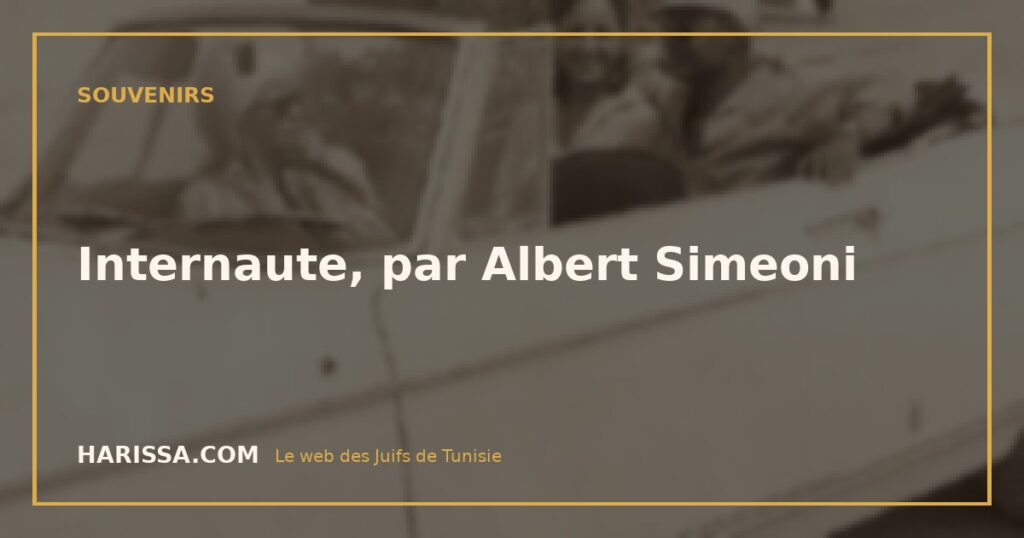 Internaute, par Albert Simeoni