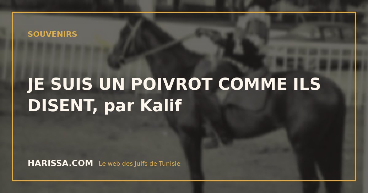 JE SUIS UN POIVROT COMME ILS DISENT, par Kalif