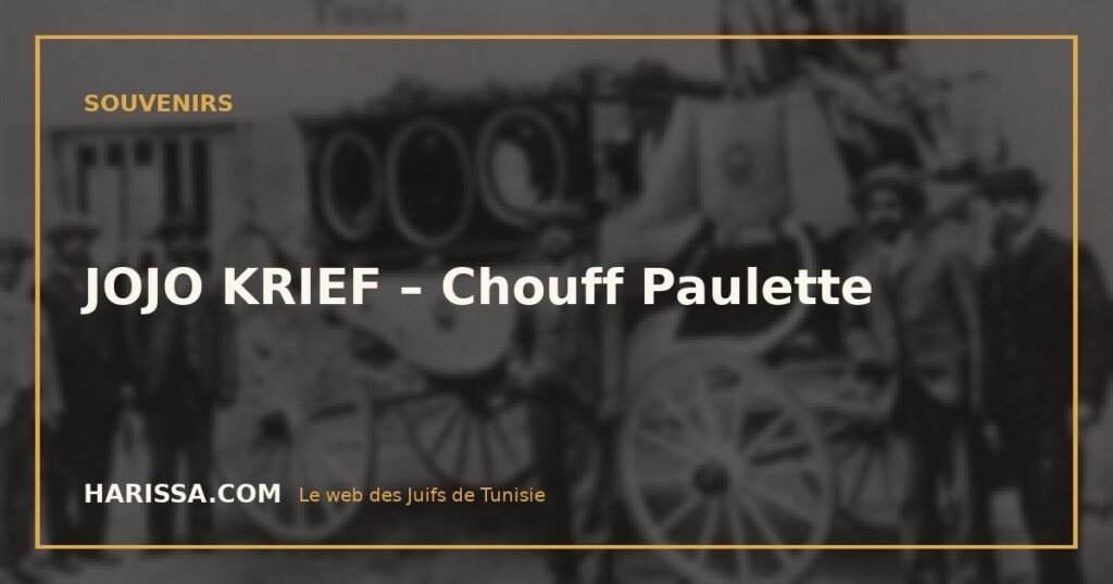 JOJO KRIEF – Chouff Paulette
