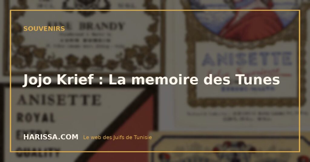 Jojo Krief : La memoire des Tunes