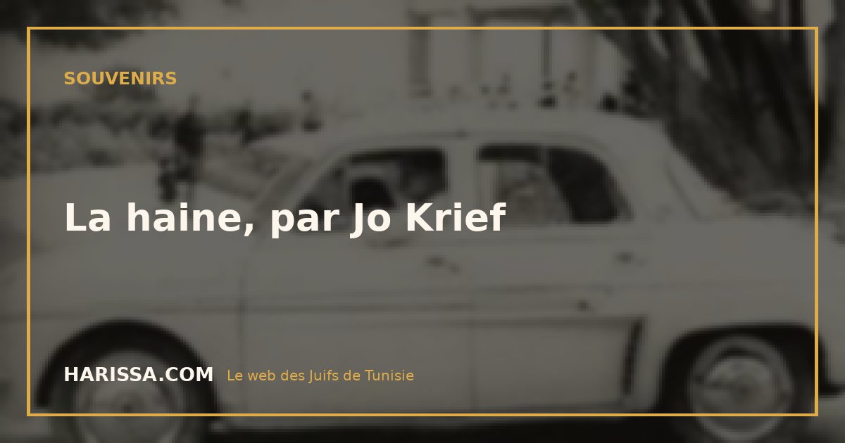 La haine, par Jo Krief