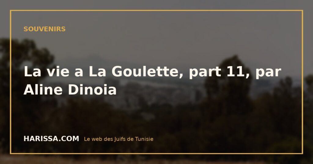 La vie a La Goulette, part 11, par Aline Dinoia