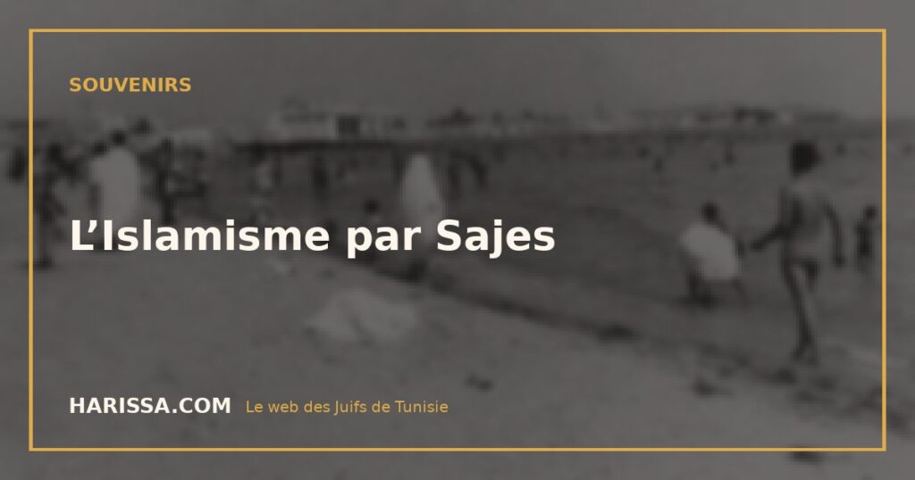 L’Islamisme par Sajes