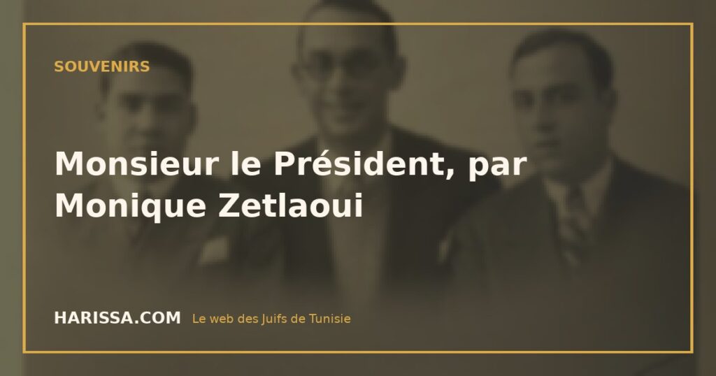 Monsieur le Président, par Monique Zetlaoui