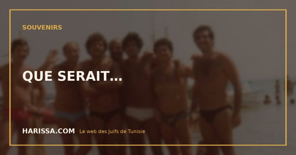 QUE SERAIT…