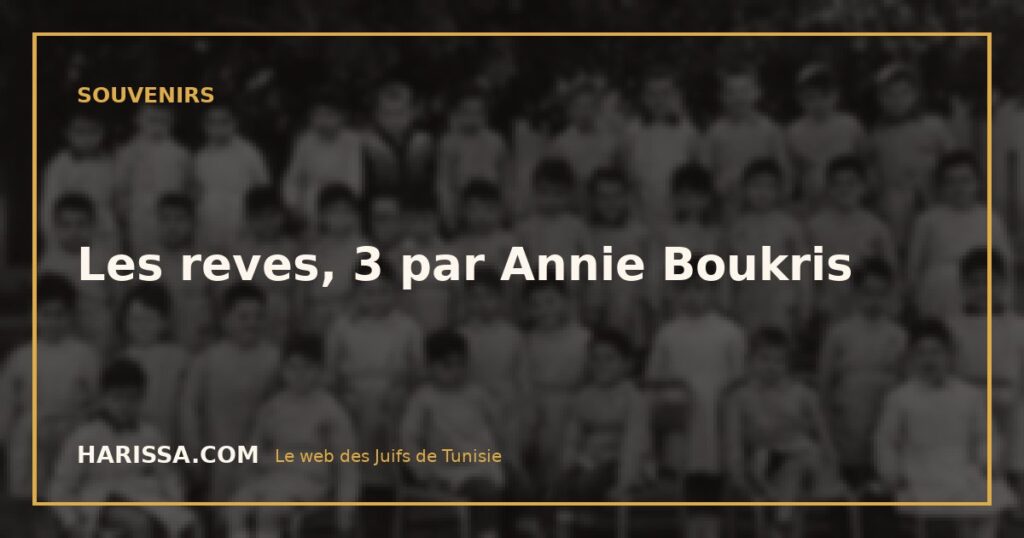 Les reves, 3 par Annie Boukris