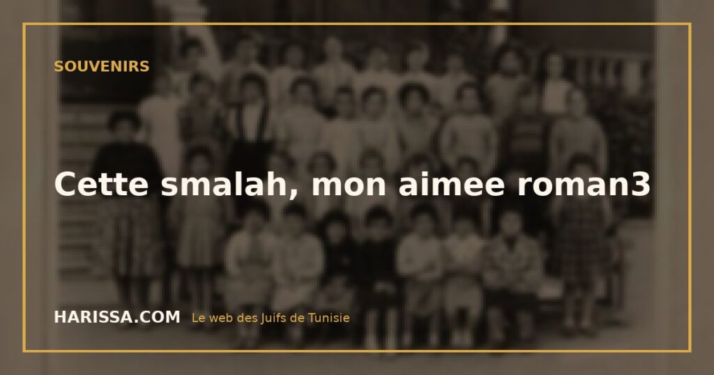Cette smalah, mon aimee roman3