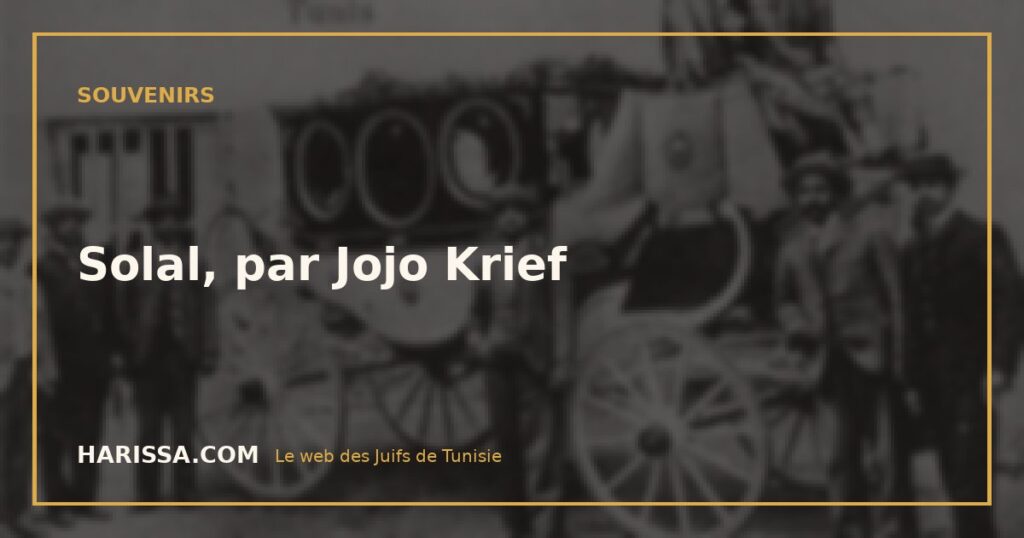 Solal, par Jojo Krief