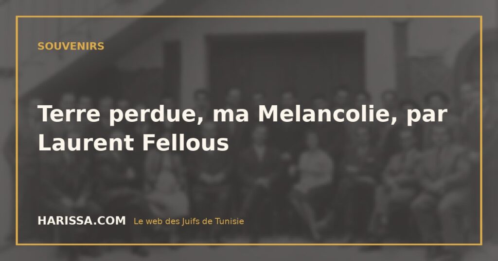Terre perdue, ma Melancolie, par Laurent Fellous