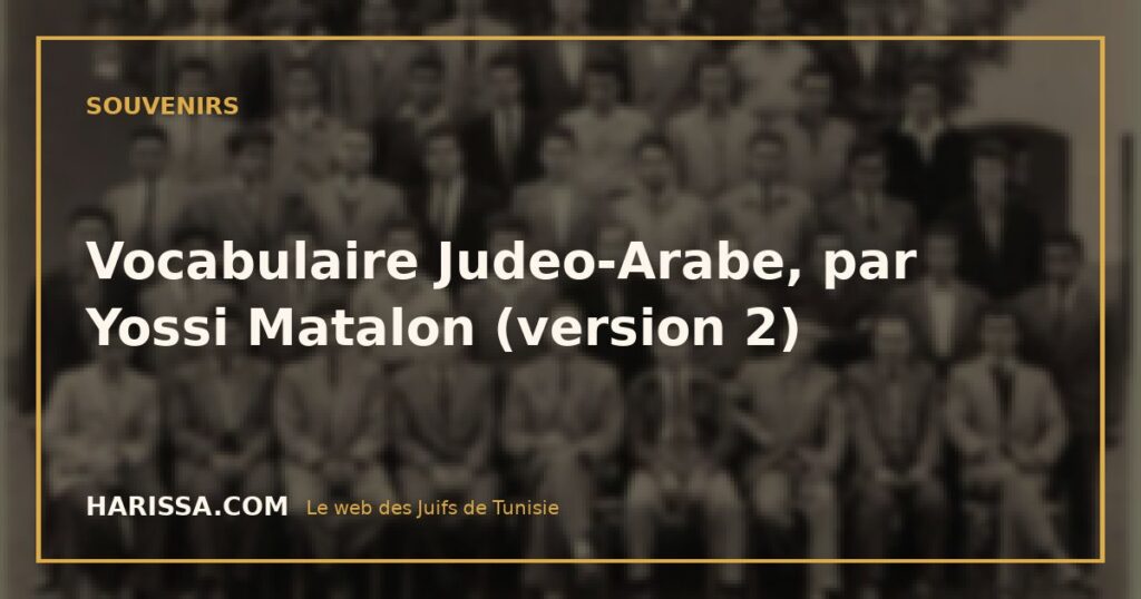 Vocabulaire Judeo-Arabe, par Yossi Matalon (version 2)