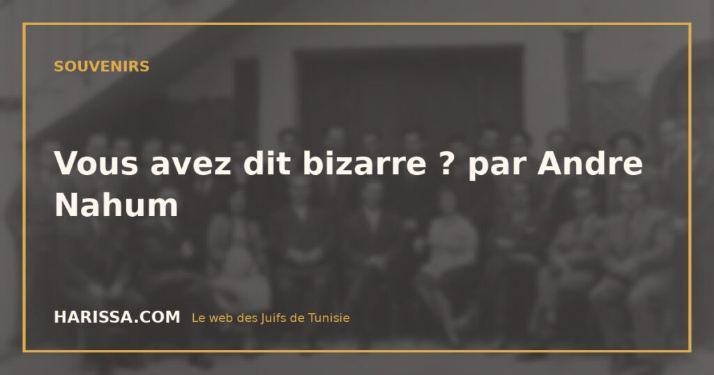Vous avez dit bizarre ? par Andre Nahum