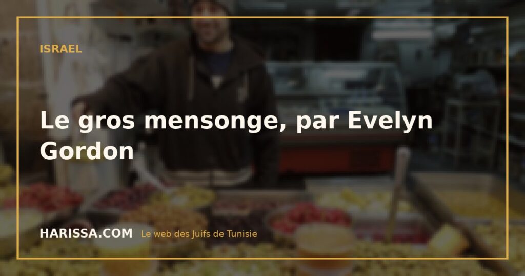 Le gros mensonge, par Evelyn Gordon