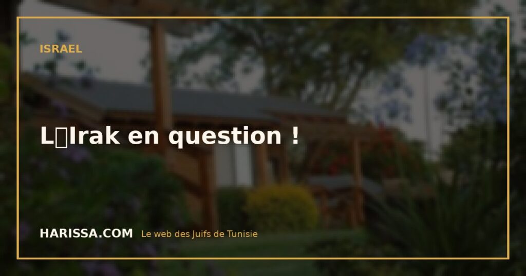 LIrak en question !