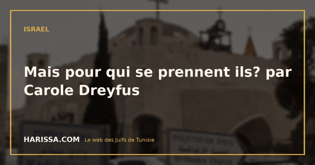 Mais pour qui se prennent ils? par Carole Dreyfus