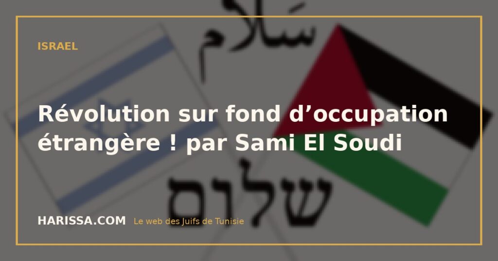 Révolution sur fond d’occupation étrangère ! par Sami El Soudi