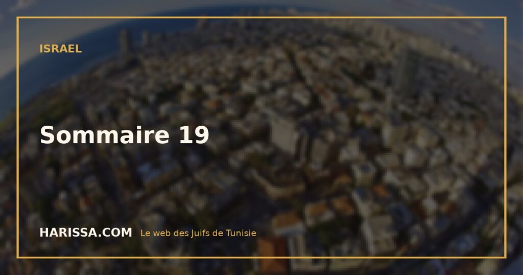Sommaire 19 Sommaire 19