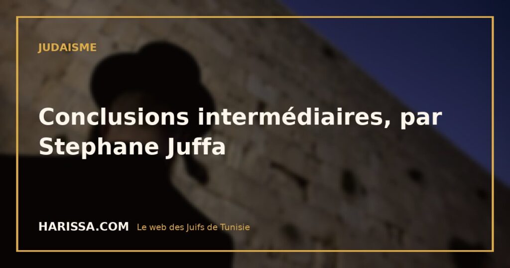 Conclusions intermédiaires, par Stephane Juffa