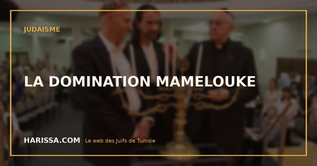 LA DOMINATION MAMELOUKE