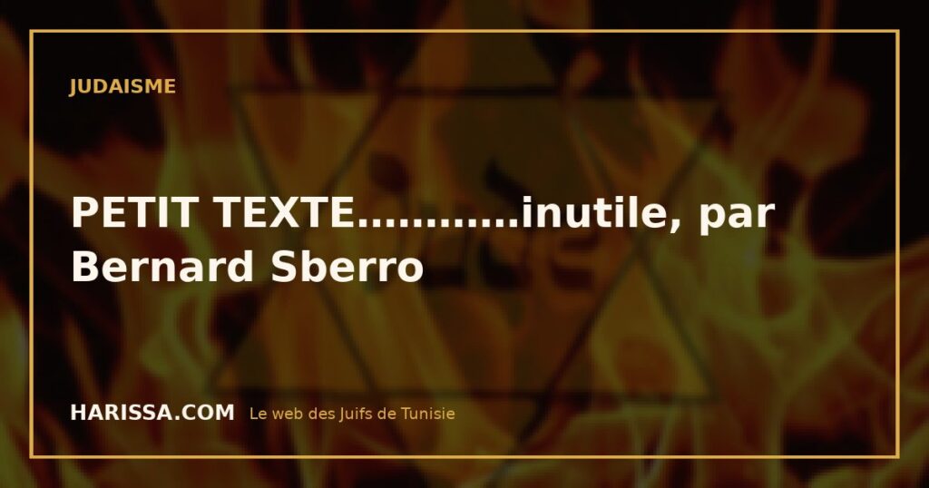 PETIT TEXTE…………inutile, par Bernard Sberro