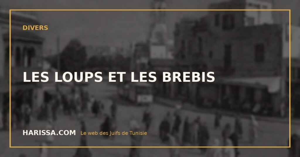 LES LOUPS ET LES BREBIS