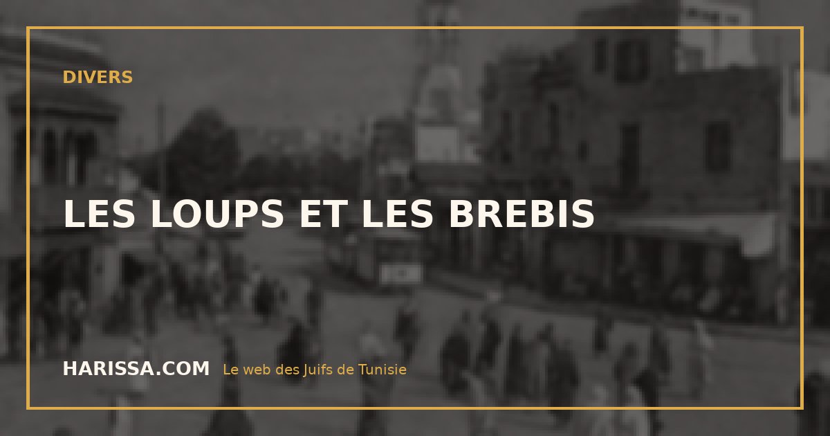 LES LOUPS ET LES BREBIS