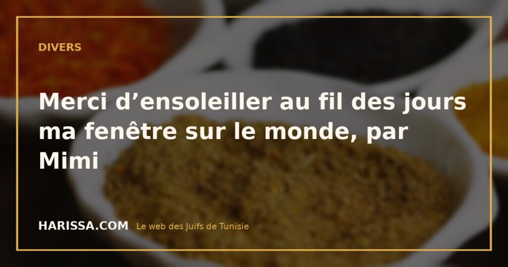 Merci d’ensoleiller au fil des jours ma fenêtre sur le monde, par Mimi