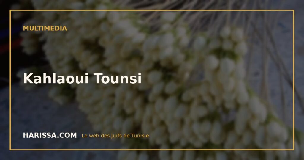 Kahlaoui Tounsi