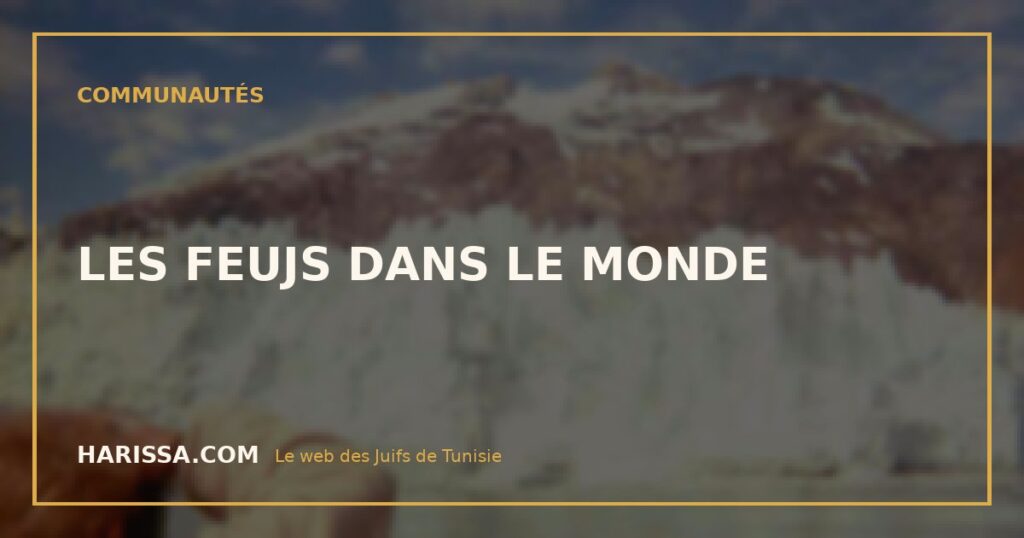 LES FEUJS DANS LE MONDE