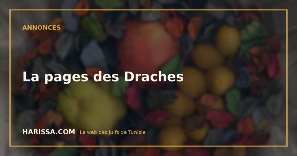 La pages des Draches