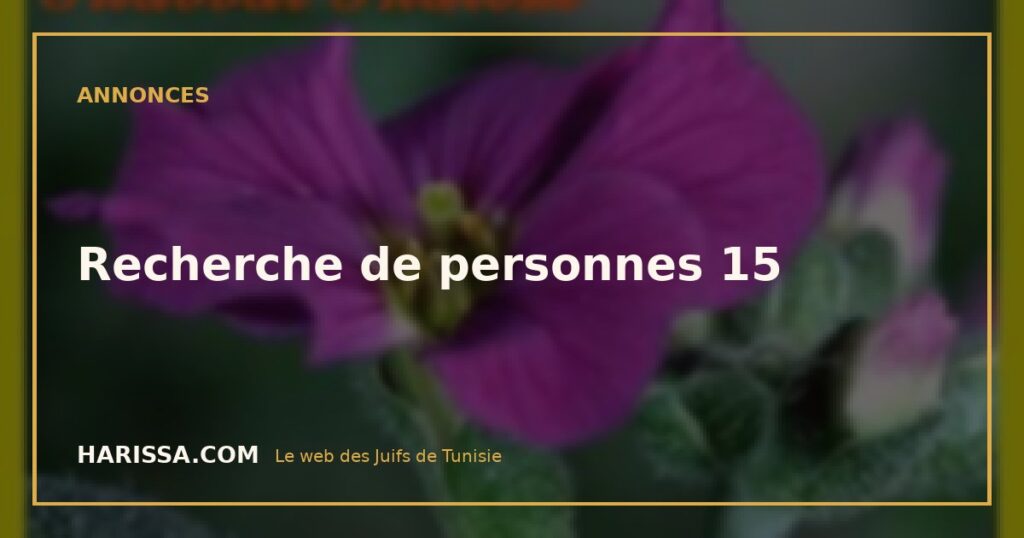 Recherche de personnes 15
