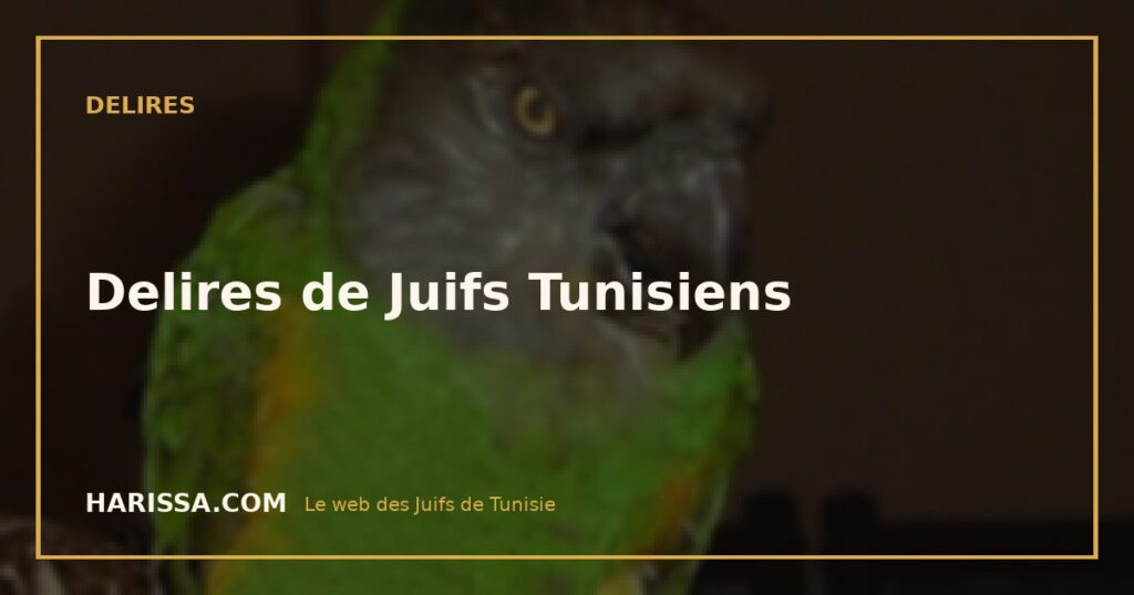 Delires de Juifs Tunisiens
