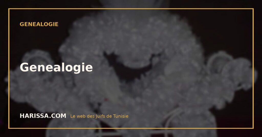 Genealogie